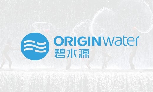 【碧水源】?jī)羲娖脚_(tái)開(kāi)發(fā)